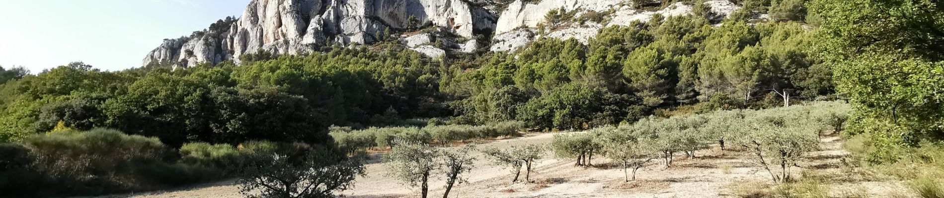 Tocht Stappen Cheval-Blanc - Gorges de Régalon - Photo