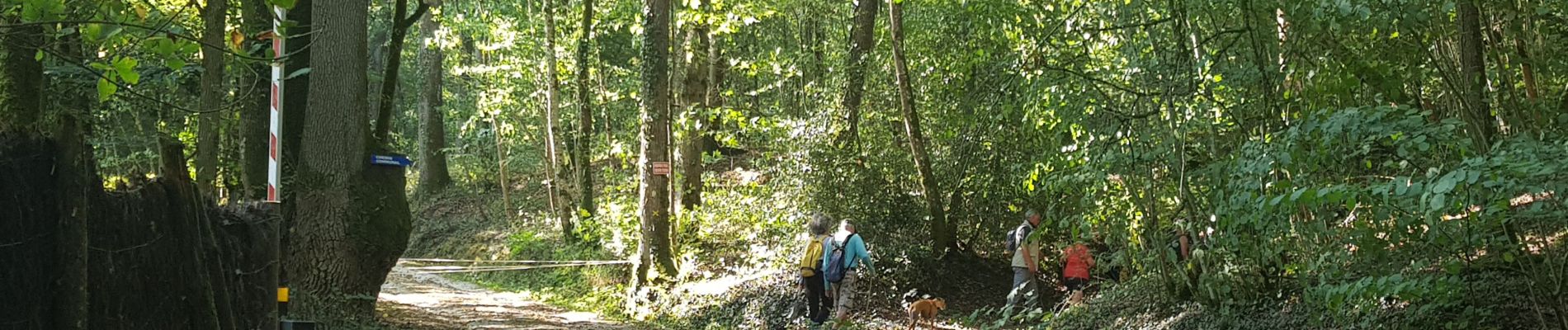 Tour Wandern La Membrolle-sur-Choisille - 2020.09.17-8.1km-La Membrolle - Mettray - La Membrolle - Photo