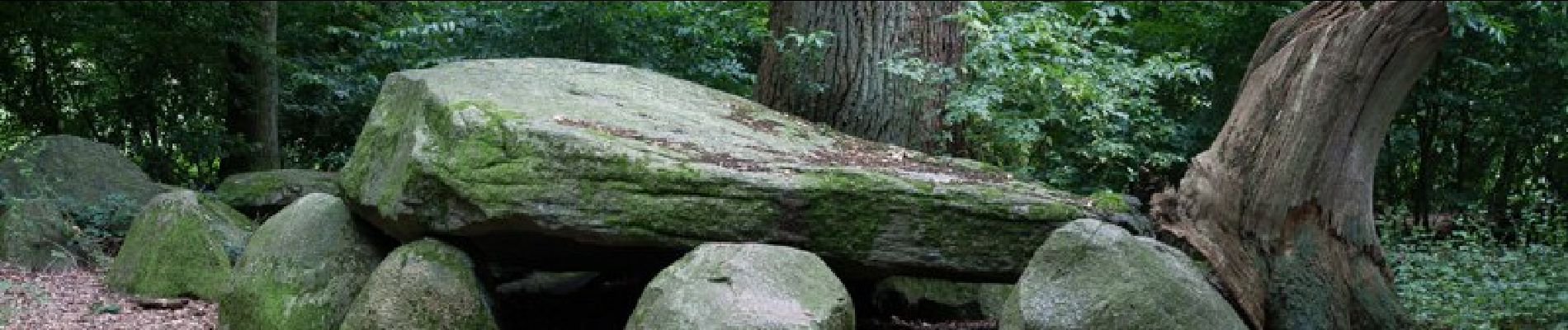 Randonnée A pied Großenkneten - Rundwanderweg 14 Grossenkneten - Photo