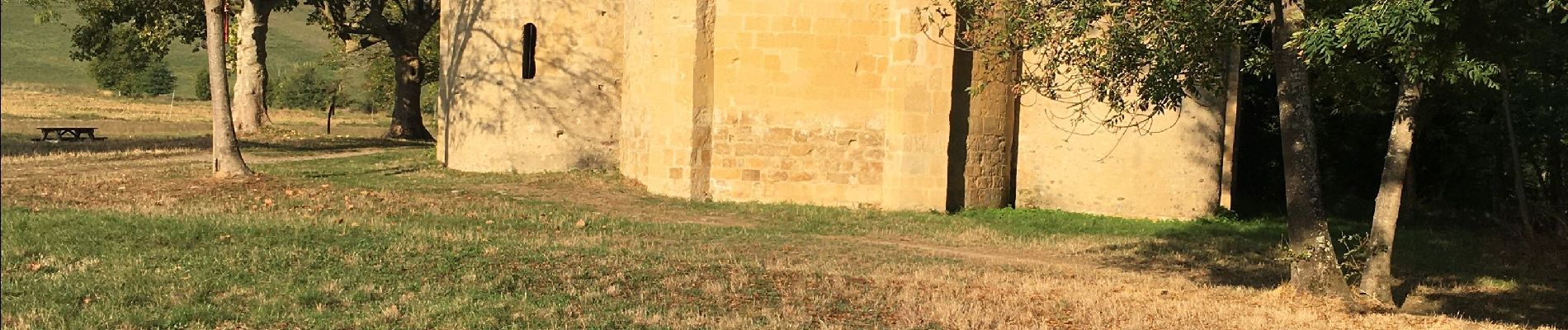 Randonnée Marche Pamiers - Les Coteaux de Pamiers  - Photo