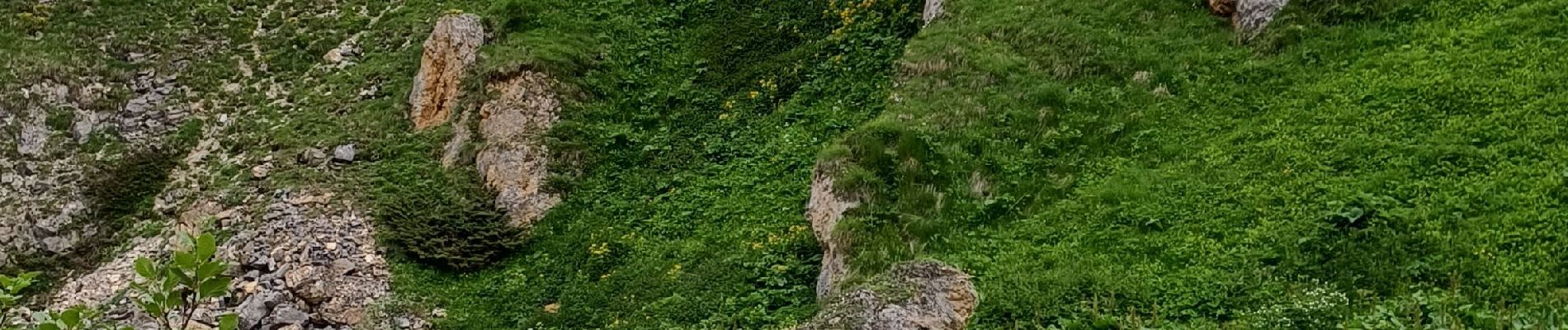 Randonnée Marche Pralognan-la-Vanoise - Roc de la Pêche - Photo