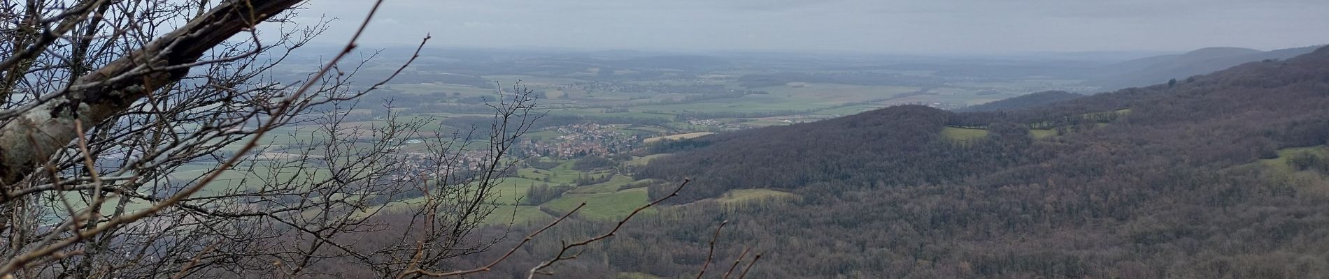 Randonnée Marche Châtillon-le-Duc - Chatillon le duc - Photo