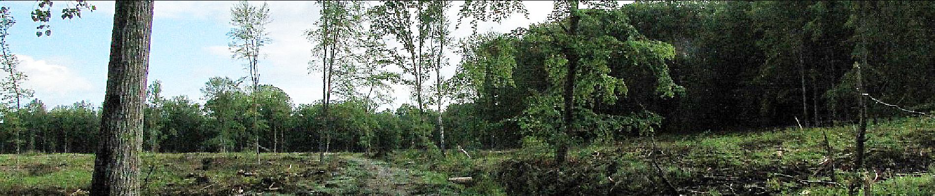 Point d'intérêt Saint-Crépin-aux-Bois - Point 14 - Photo