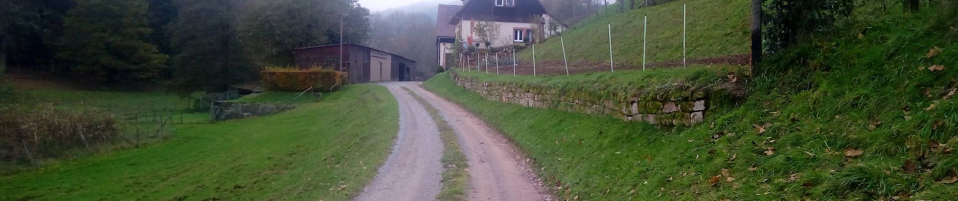 Randonnée A pied Kirchzell - Rundwanderweg Kirchzell 4: Drei-Täler-Weg - Photo