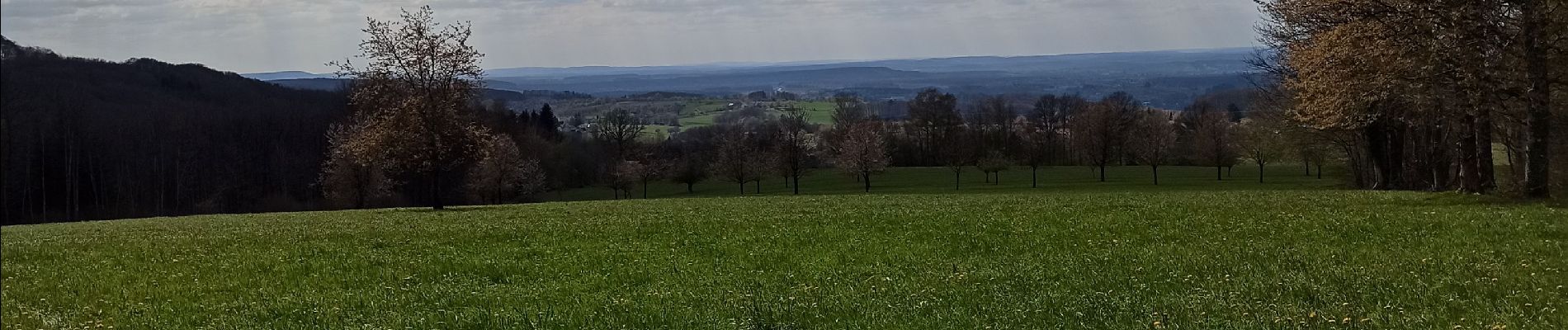 Trail Walking Fougerolles-Saint-Valbert - 17-04-21 circuit pont Ferjeux, Basse Robert - Photo