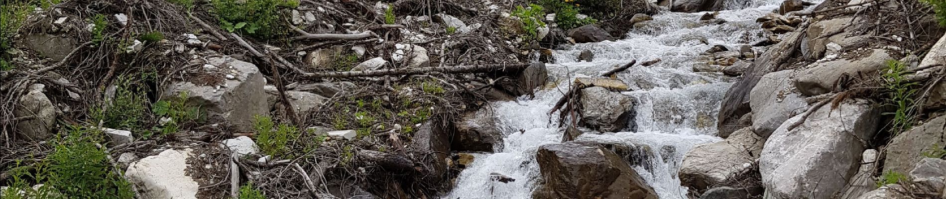 Randonnée Marche Val-d'Isère - Forêt du Fornet - Photo