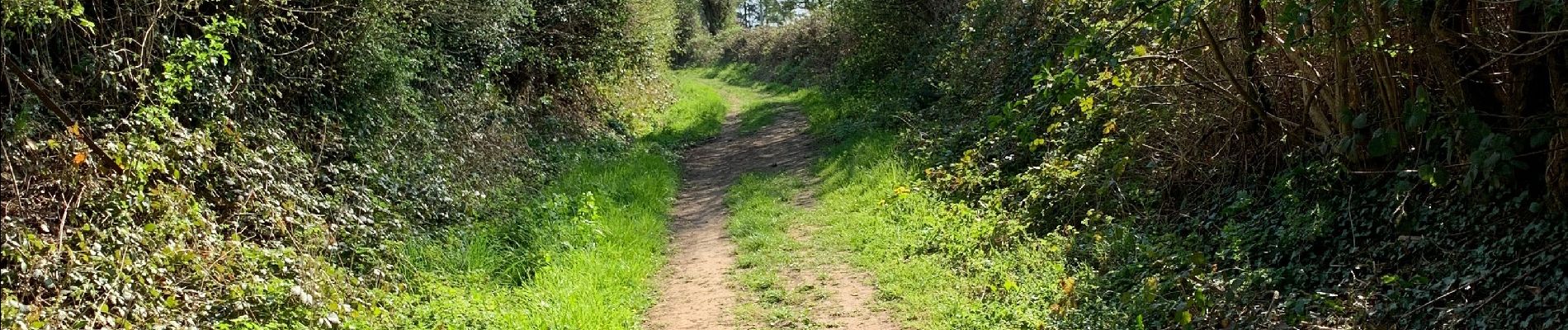 Tour Wandern Esneux - Esneux par mont et vallée  - Photo