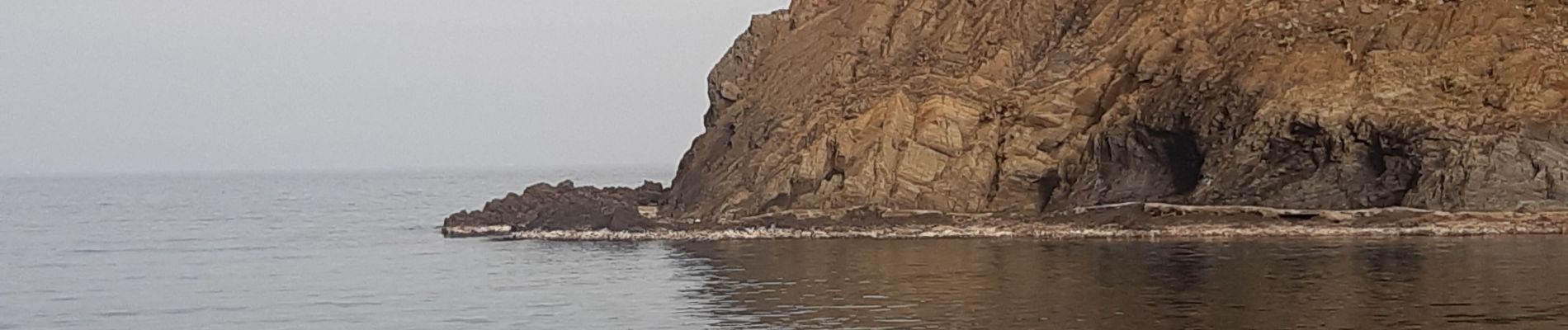 Randonnée Marche Cerbère - les aloès. cerbère . coll dells belitres (espagne) . cap cerbère . cerbère. les aloès   - Photo