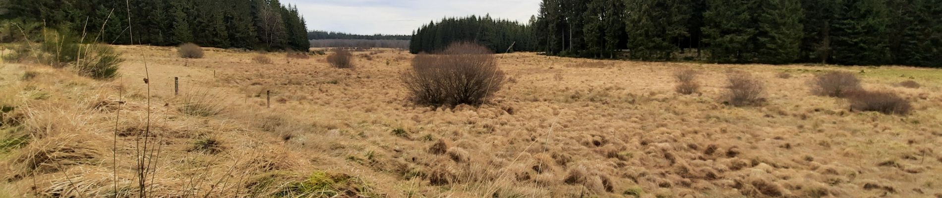 Tour Wandern Büllingen - Vallée de la Schwalme - Photo