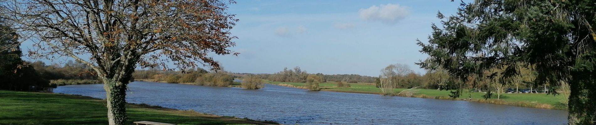 Trail Walking Haute-Goulaine - Circuit des Marais  2 - Photo