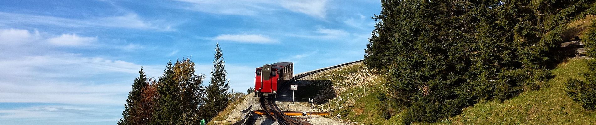 Randonnée A pied Sankt Gilgen - Schafbergweg - Photo