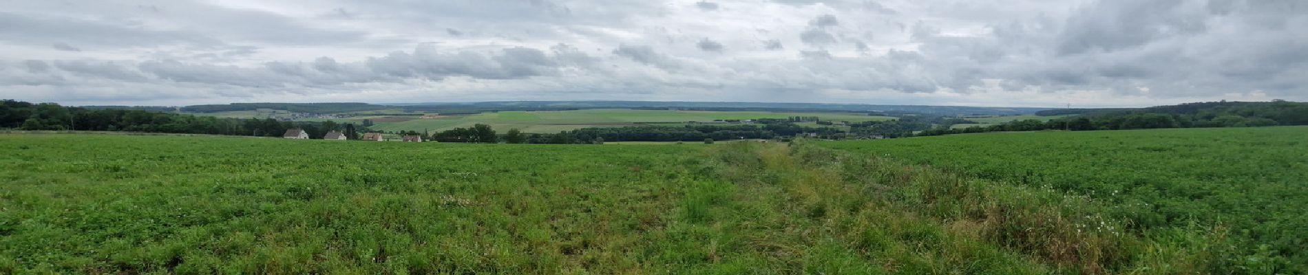 Tour Wandern Daubeuf-près-Vatteville - 20240528-daubeuf  pres vatteville - Photo