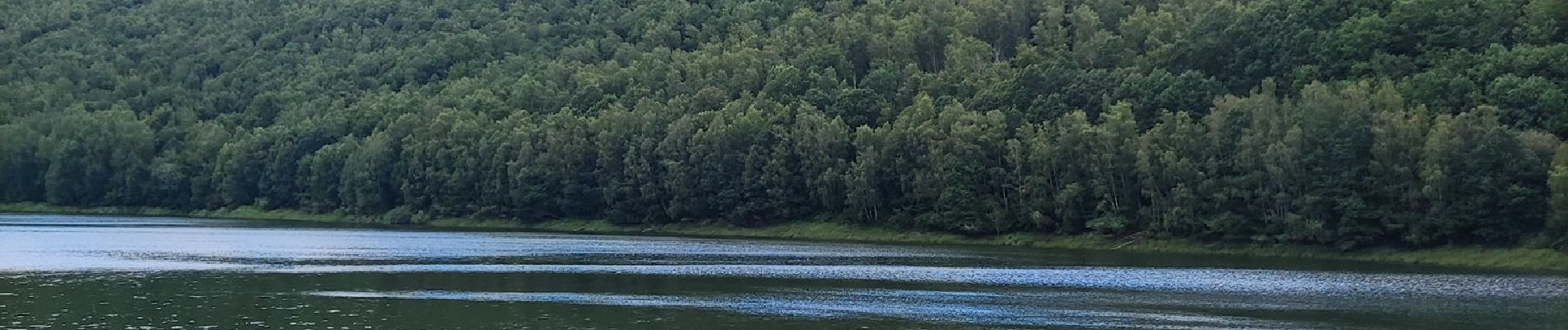 Tocht Stappen Stavelot - Tour du lac de Coo   - Photo