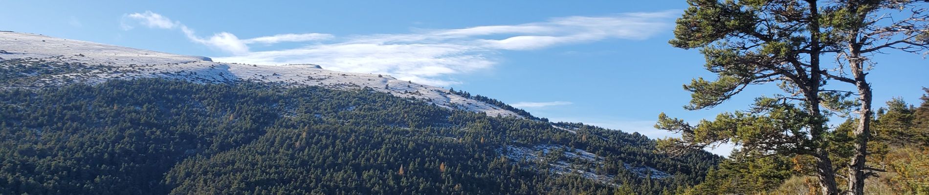 Randonnée Marche Moriez - moriez parrioune grau de courchons 906m 16.5kms - Photo