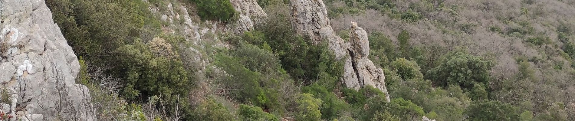 Randonnée Marche Belgentier - Les barres de Cuers départ de Belgentier - Photo