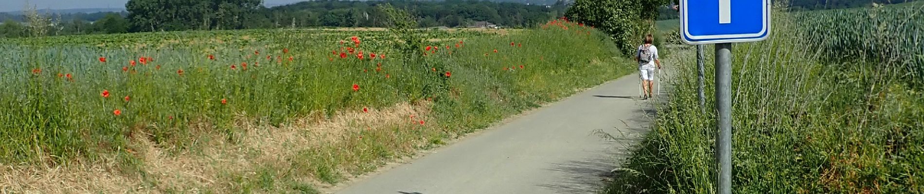 Point d'intérêt Mont-Saint-Guibert - Vue nord-ouest Chemin Tollet - Photo