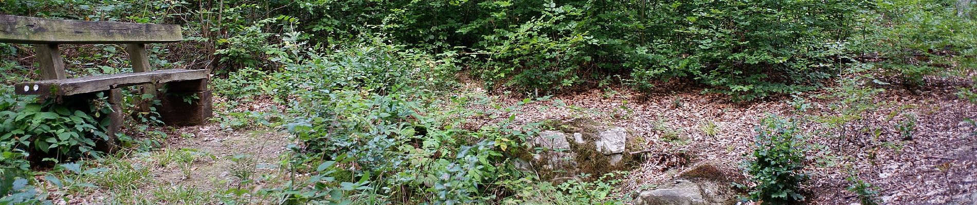 Tocht Te voet Baunach - Brauersteig - Photo