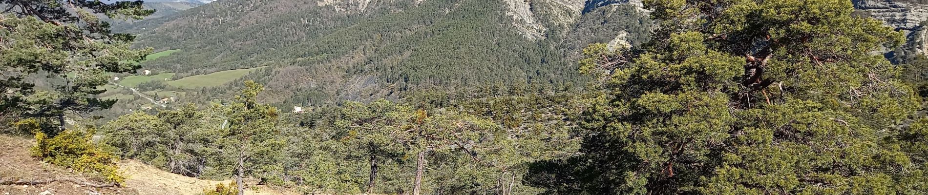 Randonnée Marche Val-de-Chalvagne - Les Cougnas Col du Buis Ubraye - Photo