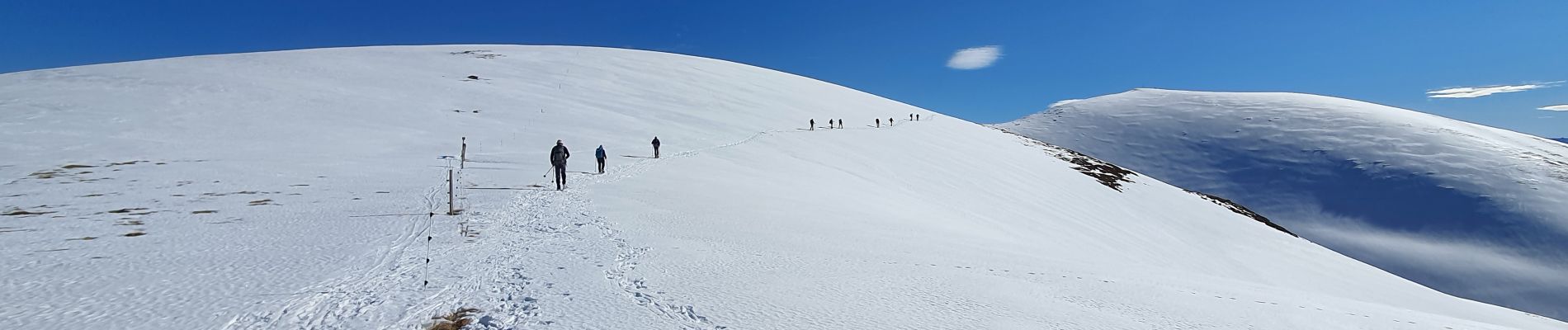 Randonnée Marche Mayrègne - Sommet d'Antenac EN BOUCLE - Photo