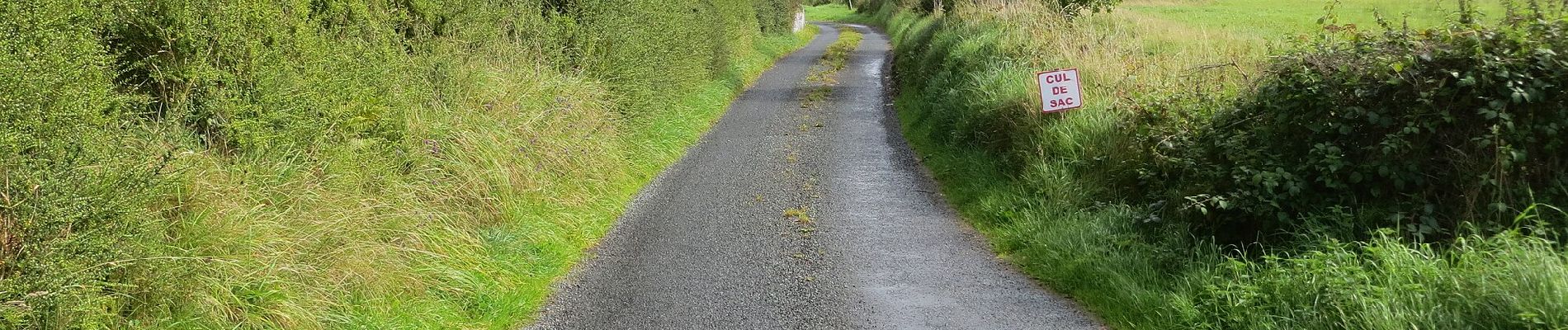 Trail On foot Roscommon Municipal District - Iath Ghlas - Photo