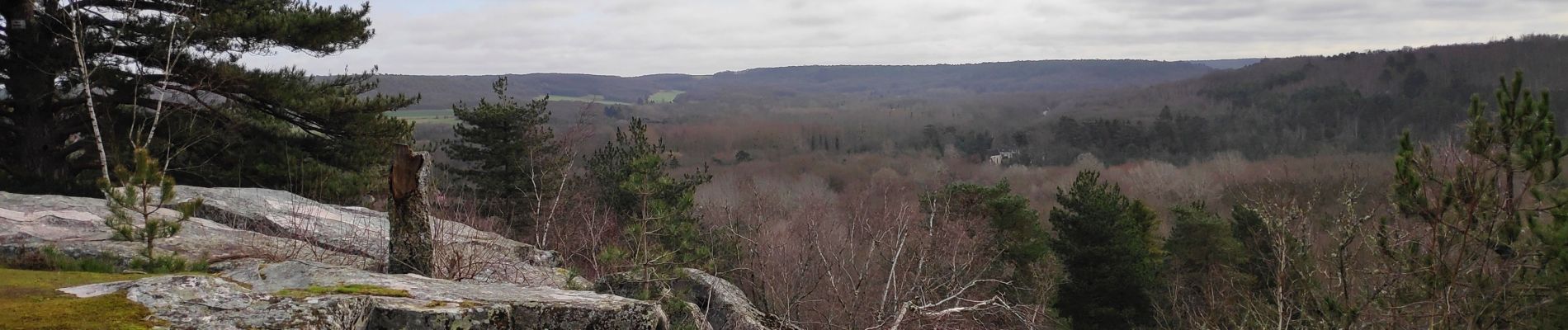 Tocht Stappen D'Huison-Longueville - Orveau - Photo