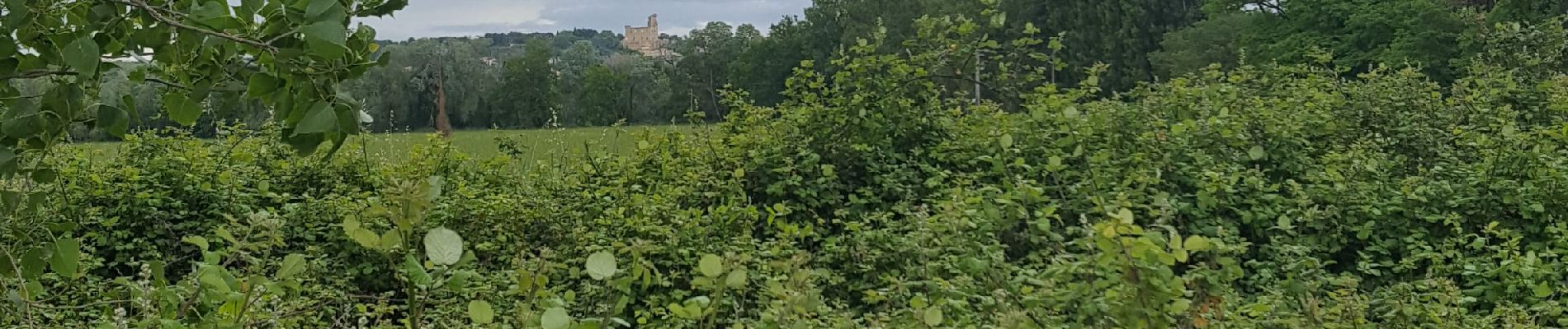 Trail Walking Sorgues - L'oiselet tour de l'Hers par Via Rhona - Photo