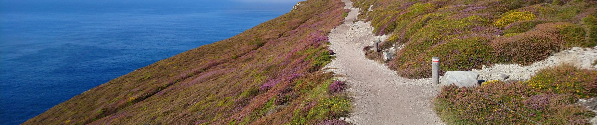 Tour Wandern Crozon - Cap de la Chèvre - Pointe de Dinan Plage de Goulien - 26.4km 600m 7h50 (40mn) - 2019 09 08 - Photo