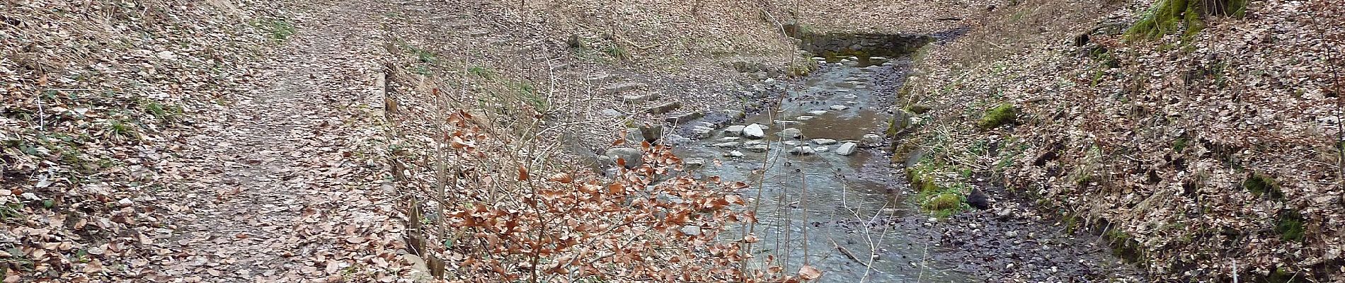 Tour Zu Fuß Bad Schussenried - Bad Schussenried: Wanderweg 7 - Photo