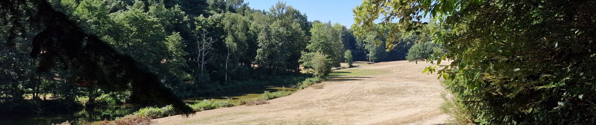 Randonnée Marche Vigneux-de-Bretagne - de Vigneux de Bretagne à Saint Étienne de Montluc - Photo