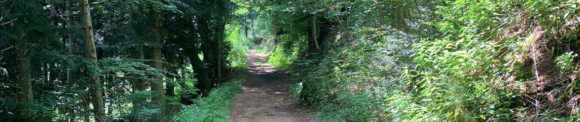 Excursión Bici de montaña Bard - St Antheme itinéraire bis  - Photo