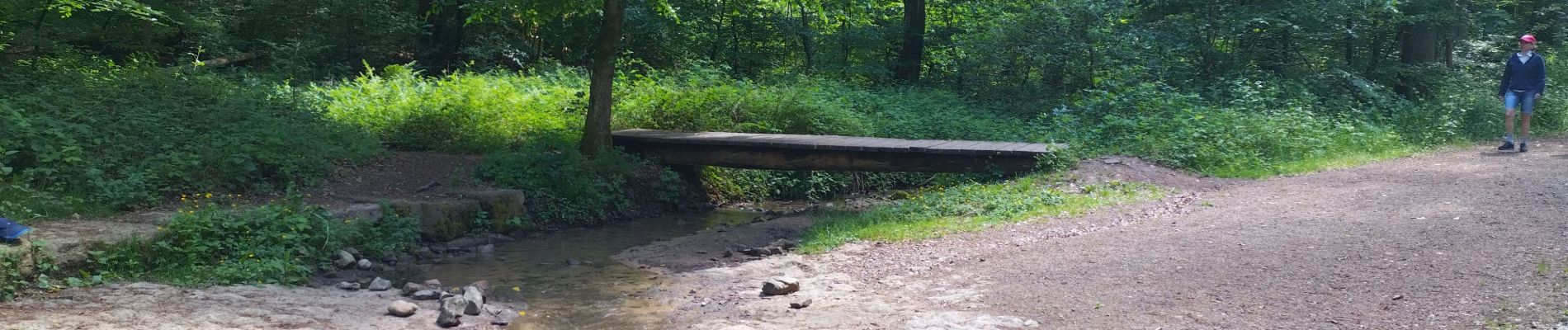 Point d'intérêt Consdorf - Petit pont ou passage à gué - Photo