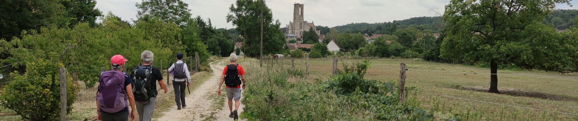 Randonnée Marche Montigny-sur-Loing - Montigny sur loing _ Nemours  - Photo