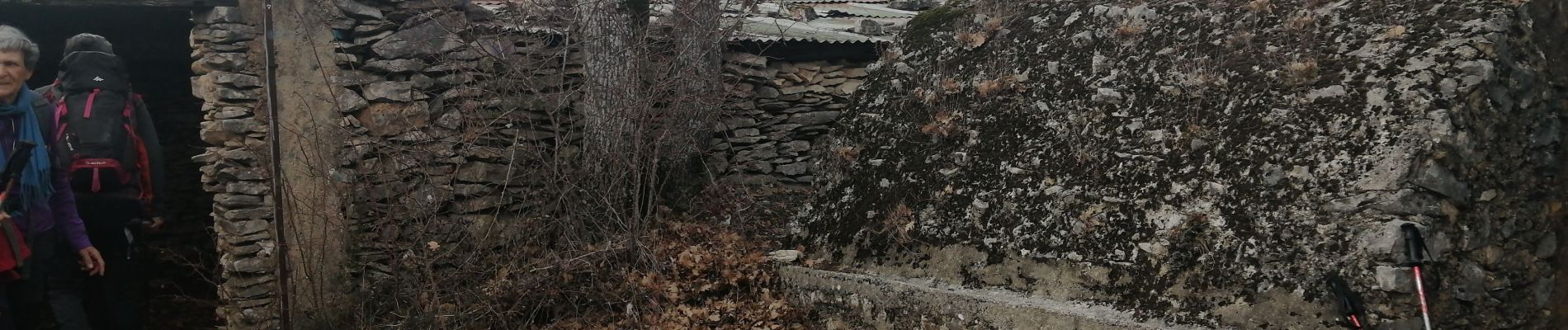 Randonnée Marche Villes-sur-Auzon - les charbonnières court - Photo