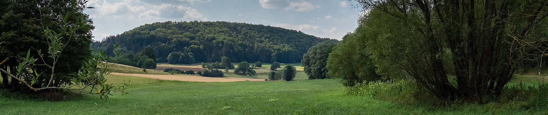 Percorso A piedi Weismain - Kaspauer Rundweg - Photo