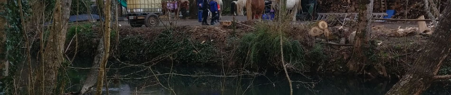 Percorso Mountainbike Chauray - 2019-02-26 vers Échiré - Photo