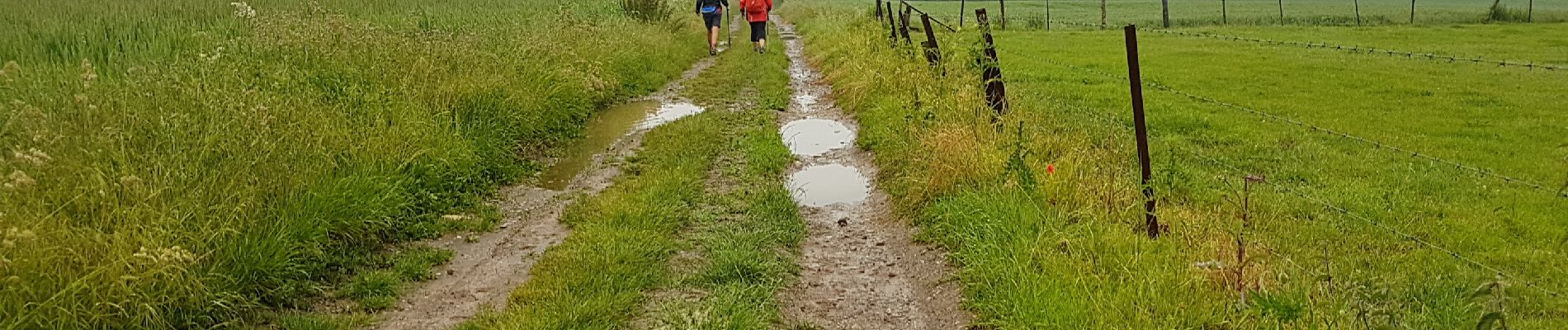 Tocht Stappen Florennes - 2019-06-15 Rosée 30 km - Photo