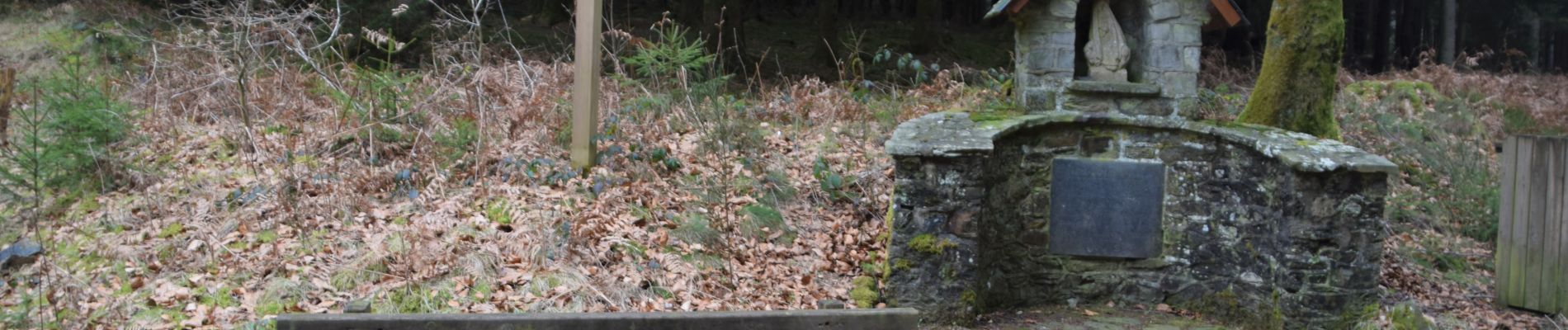 Tour Wandern Bièvre - RB-Na-31-Racc_Un-pays-d’étangs-et-de-pépinières - Photo