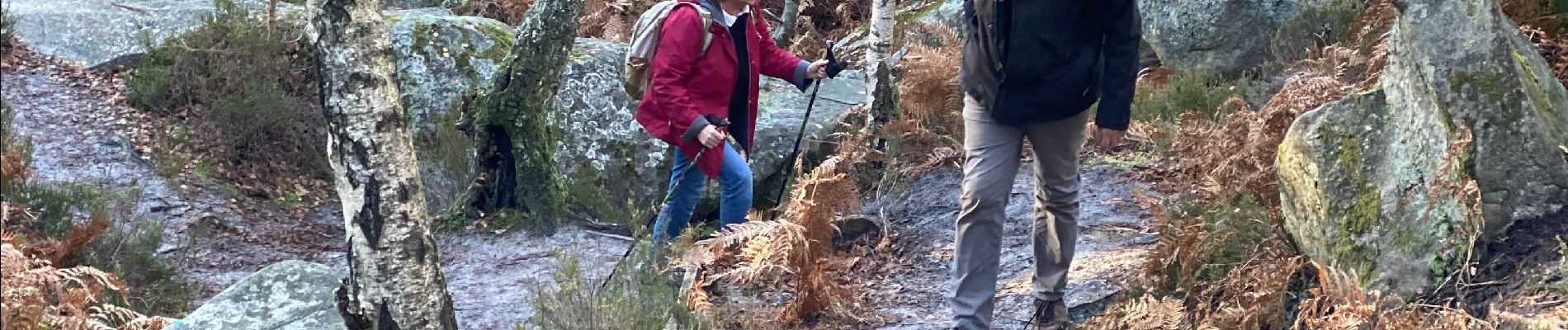 Tocht Stappen Fontainebleau - Barbize  - Photo