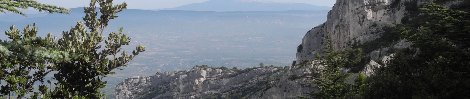 Tour Wandern Oppède - PF-Oppède - Le Vallon de Combrès - Le Sautadou du Bausset - Photo