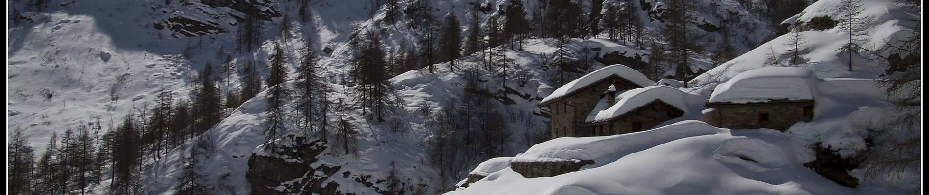 Percorso A piedi Ceresole Reale - IT-520 - Photo