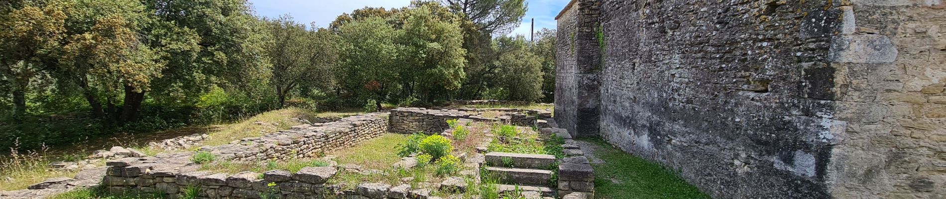 Tocht Stappen Aubais - Moulin_Carrieres_Aigues_Vives - Photo