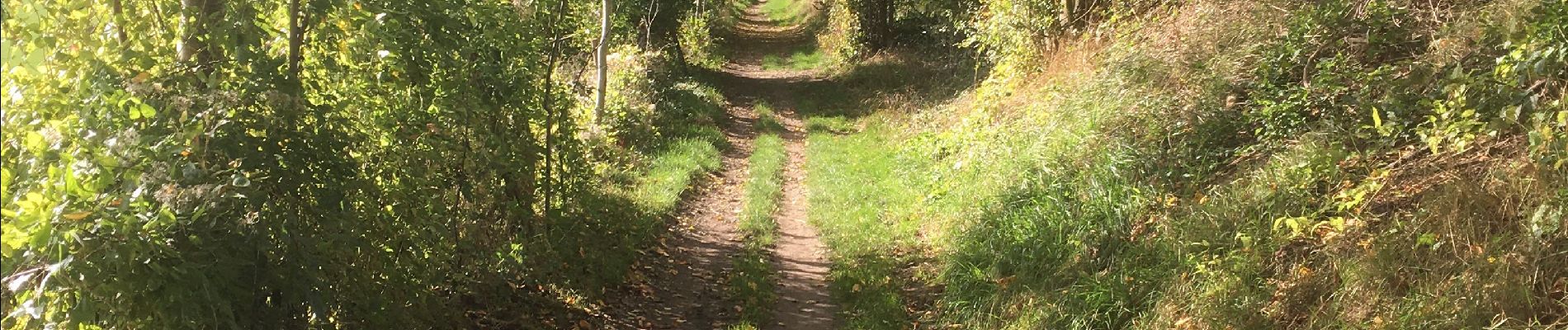 Tocht Stappen Aubel - VAL DIEU - Photo