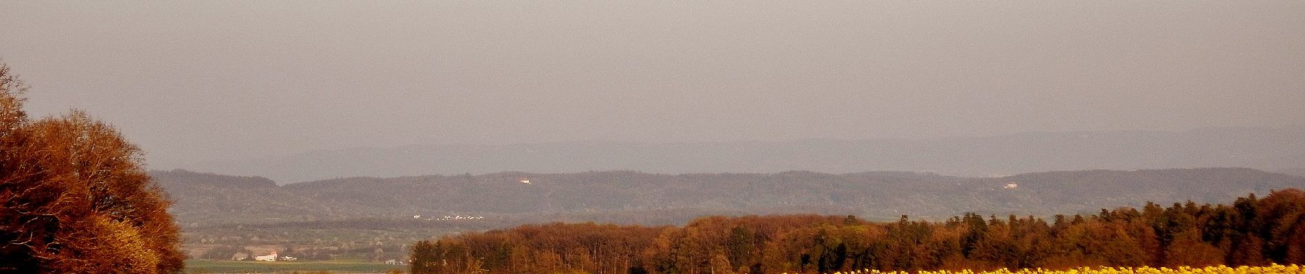 Randonnée A pied Jettingen - Sulz am Eck - Herrenplatte (Jettingen) - Photo