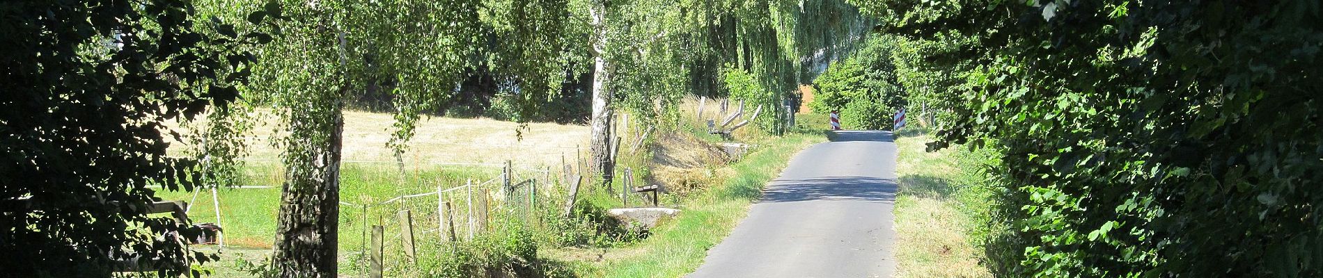 Randonnée A pied Baunatal - Eco Pfad Großenritte - Photo