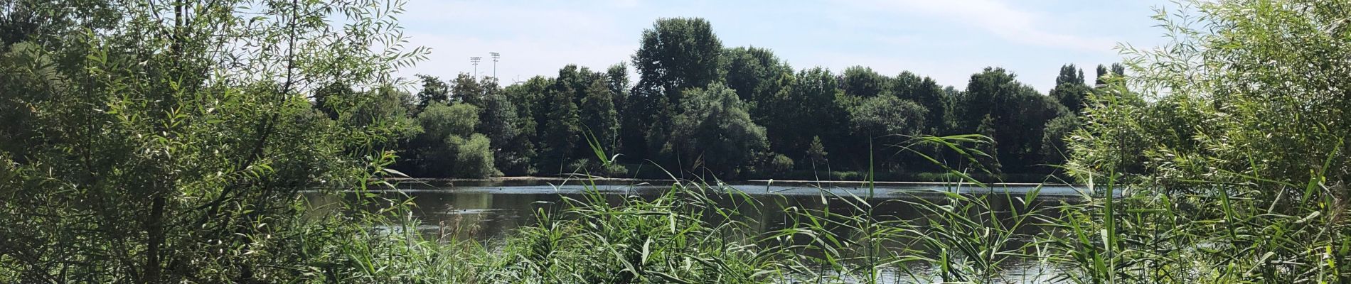 Randonnée Vélo de route Rixensart - Promenade verte - Photo