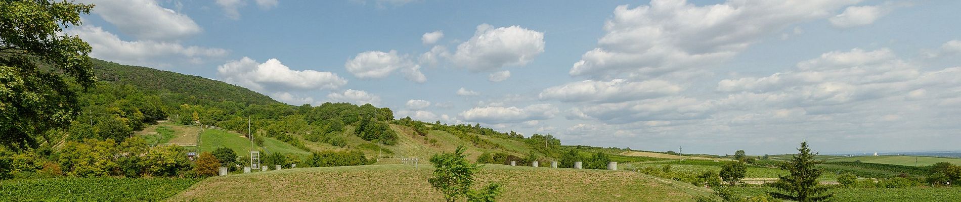 Trail On foot Gemeinde Pfaffstätten - Zierfandlerweg - Photo