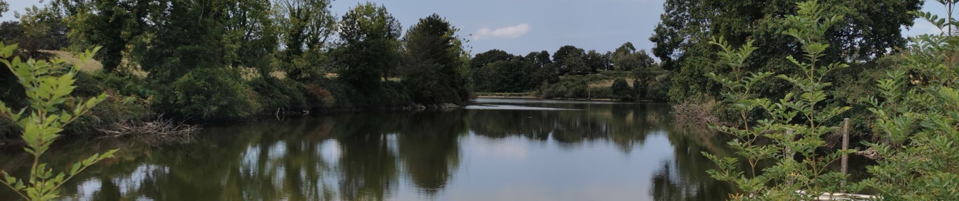 Randonnée Marche Apremont - Les 3 Châteaux d'Apremont - Photo