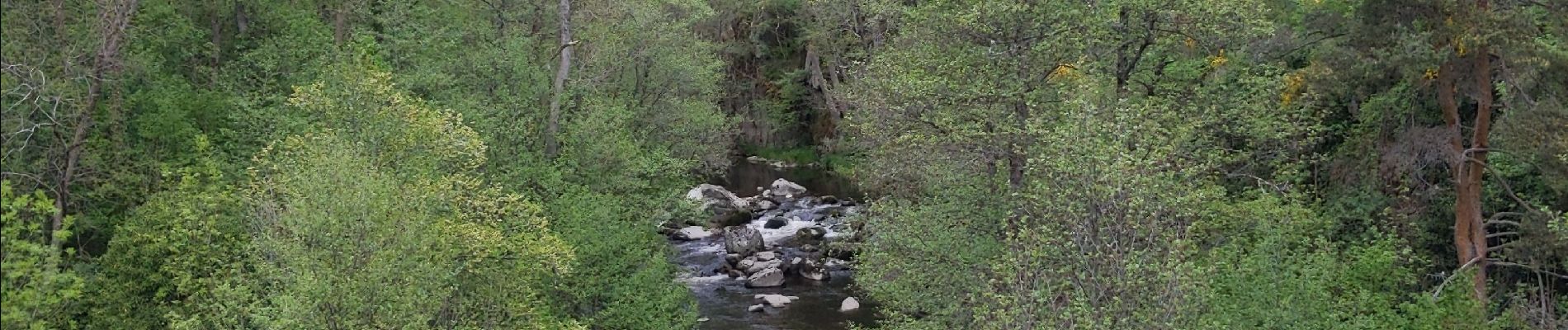 Tour Wandern Tiranges - Château de Chalancon par le Pont du Diable - Photo