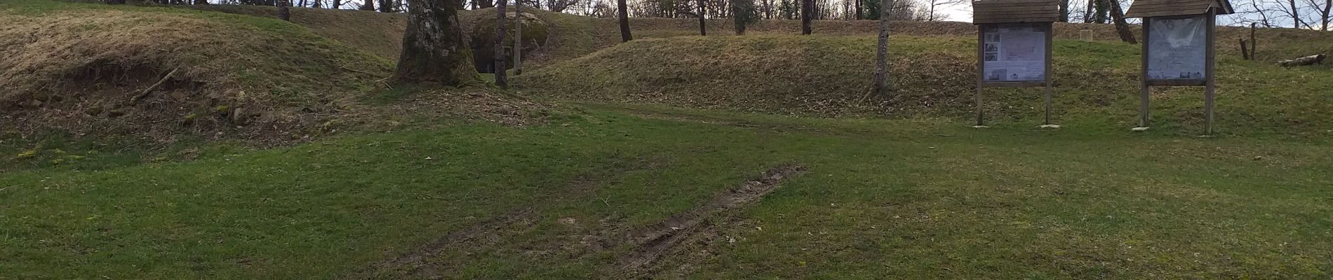 Tocht Stappen Beure - Beure de la pisseur au mercureau  - Photo