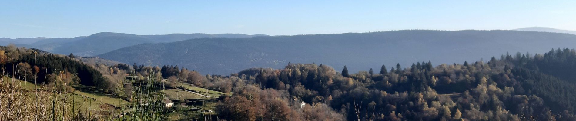 Tocht Noords wandelen Basse-sur-le-Rupt - Planois - Le haut du Roc  - Photo